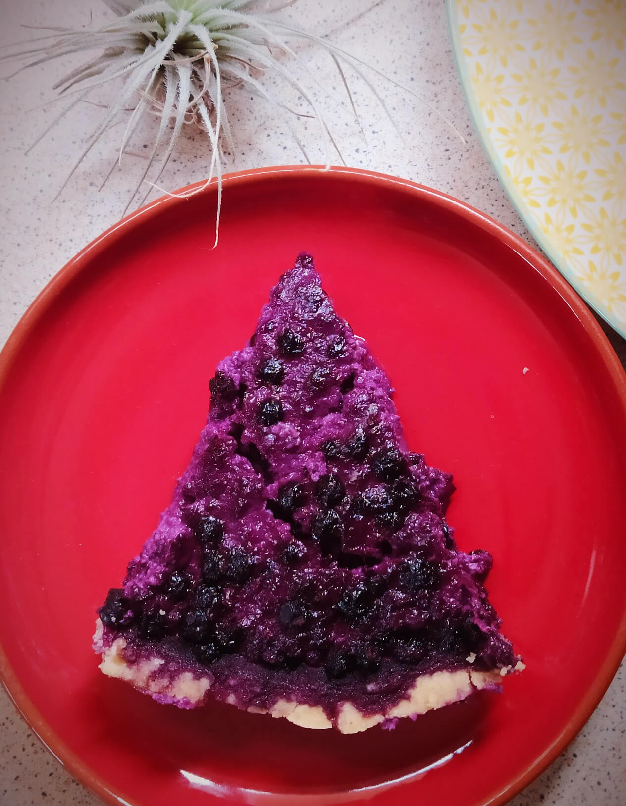 Bilberry-Pie-1